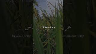Rahent 'Aleik - Nancy Ajram Lyrics short video