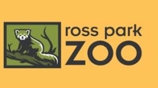 Ross Park Zoo Full Tour 2024