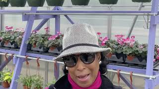 Portage Path CLC 3rd Grade IB Video