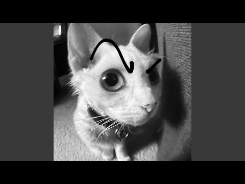 Ritmada Nova Holanda Super Slowed