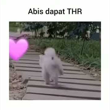 Story WA THR