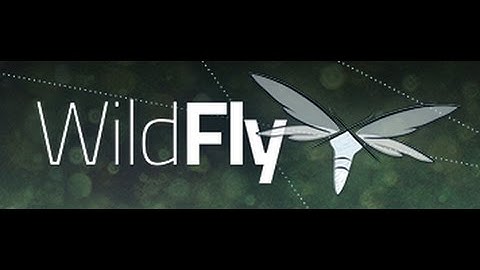 Configurando Wildfly no Eclipse #4