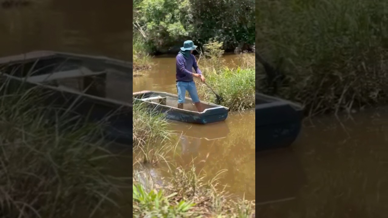 CANOEIRO. #roça #rural #video #agua #ocean #water #viral #aquarius #peixes #floresta #nature #agro