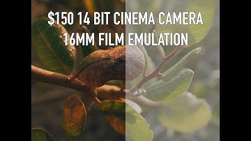 $150 14 BIT RAW 16MM FILM EMULATION CINEPRINT | CANON EOS M CINEMATIC RAW MAGIC LANTERN | ARRI ALEXA