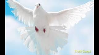 ఓ పావుర రూపమా పరిశుద్ధ ఆత్మా  holy Spirit song  o pavura rupama parishudhhathma #Catholic songs