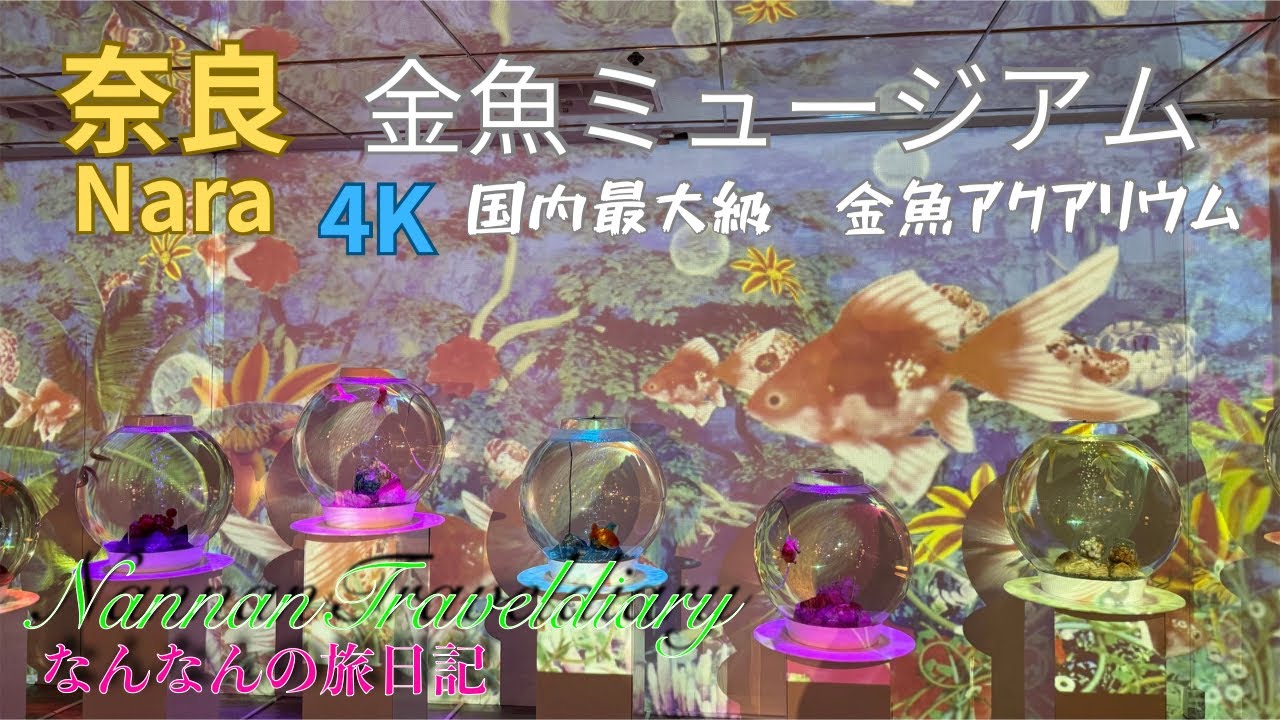 【奈良】４K  国内最大級の金魚エンターテイメントアクワリウムで癒しのひと時！！