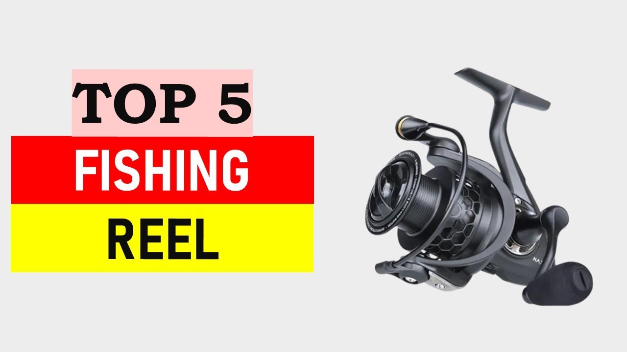 Best Fishing Reel 2025 - Top 5 Best Fishing Reel in 2025 - YouTube