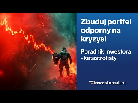 How to Build a Crisis-Resilient Portfolio? A Guide for the Disaster Investor
