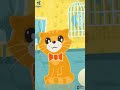 عندي قطة وانت لا عندي قطة وانت لا