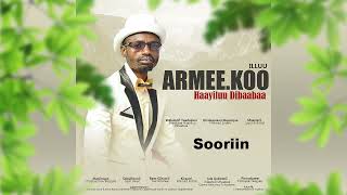 Haayiluu Dibaabaa - Sooriin - New Ethiopian Oromo Music 2023 (Offlcial Audio)