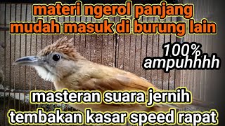 kapas tembak konslet ngerol panjang ~ masteran suara kasar dan jernih speed rapat