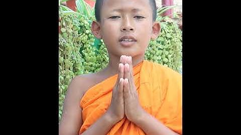 Tặng một kinh Phật tiếng Pali Sư Nhỏ #Short