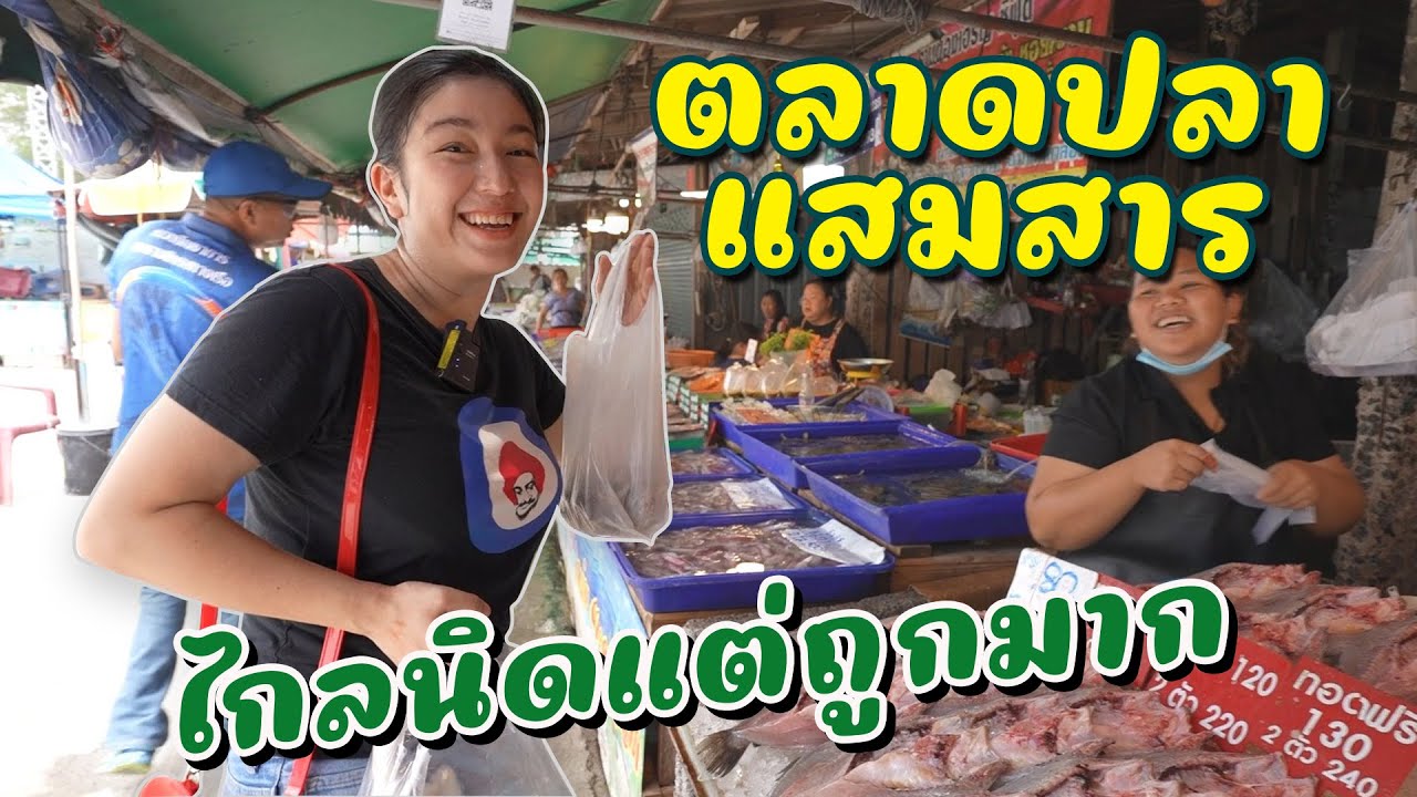 ตลาดปลาหาดจอมเทียน ชาวประมงขายเองจะถูกหรือแพง? I กู๊ดเดย์ ชลบุรี I Pattaya  Fish Market - YouTube