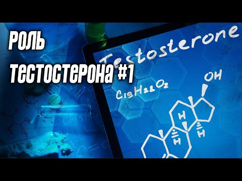 Значение тестостерона #1. Влияние изменений уровня тестостерона на силовые показатели и гипертрофию.