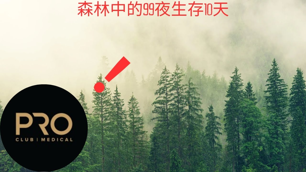 我是露營者，今天挑戰生存10天#roblox