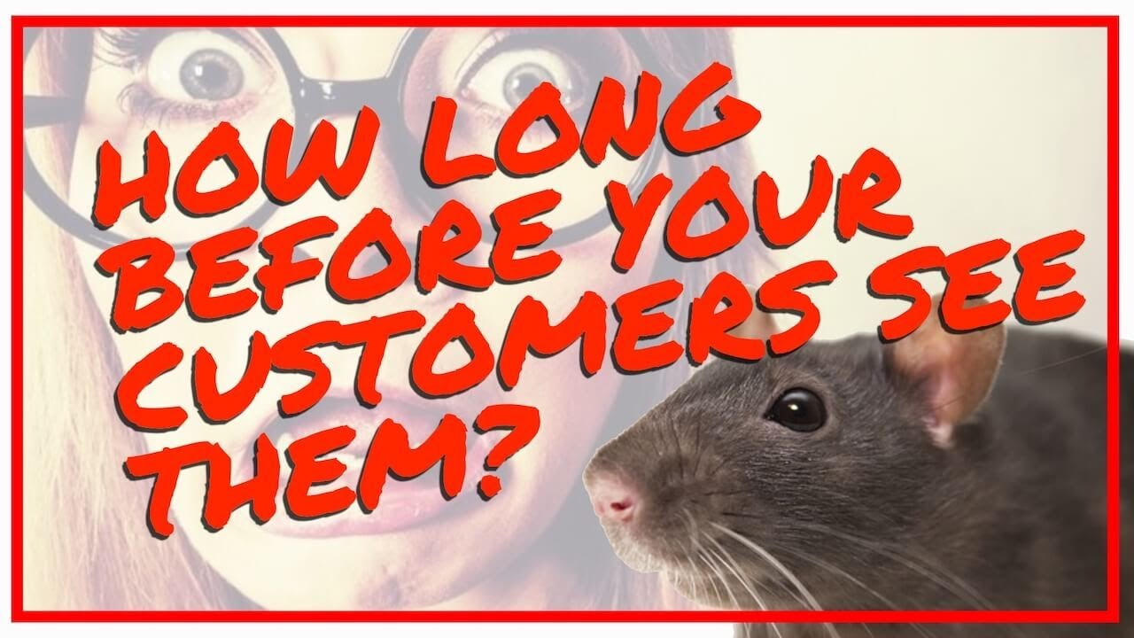 Restaurant Rat Removal, Backdoor, Fryer, Seasons, Staff, Soda Dispenser, Melbourne