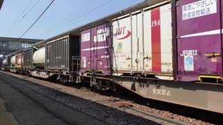 【Japan Railway】4095レ EF510-503青 牽引コンテナ