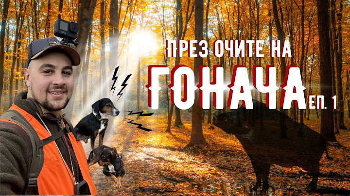 Лов на ДИВИ ПРАСЕТА! ПРЕЗ ОЧИТЕ НА ГОНАЧА ЕП.1!