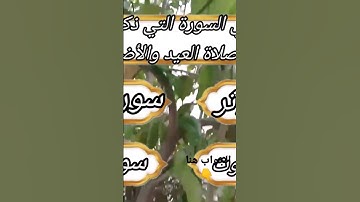 أسئلة دينية|ماهي السورة التي ذكرت في صلاة العيد والأضحية