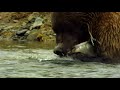 La tierra de los osos gigantes - ¡Ahora en alta calidad! (Parte 4/5)