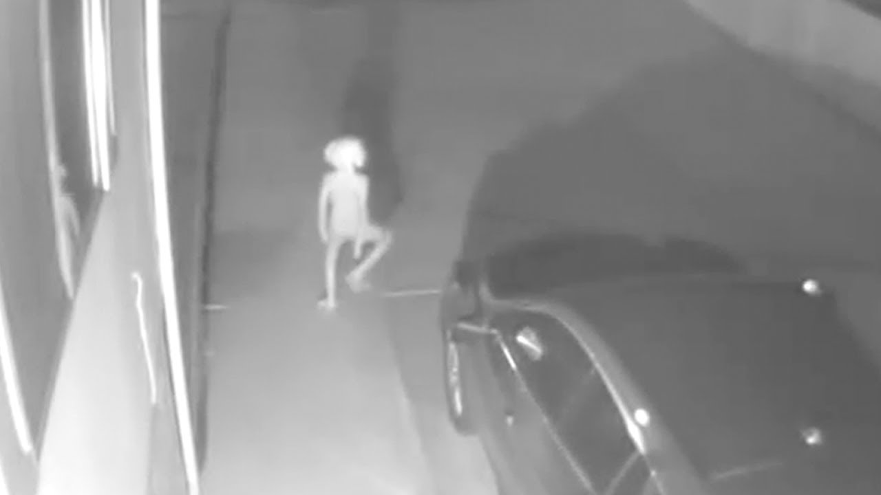 カメラが捉えた…衝撃映像！正体不明、奇妙な未確認生物【 都市伝説 UMA 未確認生物 未確認生命体 映像 】