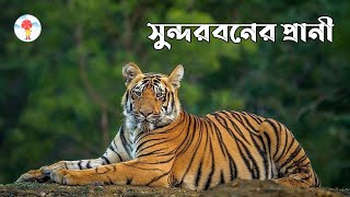 Animals of Sundarban | সুন্দরবনের প্রাণী | Inforain