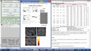 SPM12 (Kyiv 2015): day 2,  Part 8/8. Statistical Table, F contrasts, PSTH, Parametric modulation