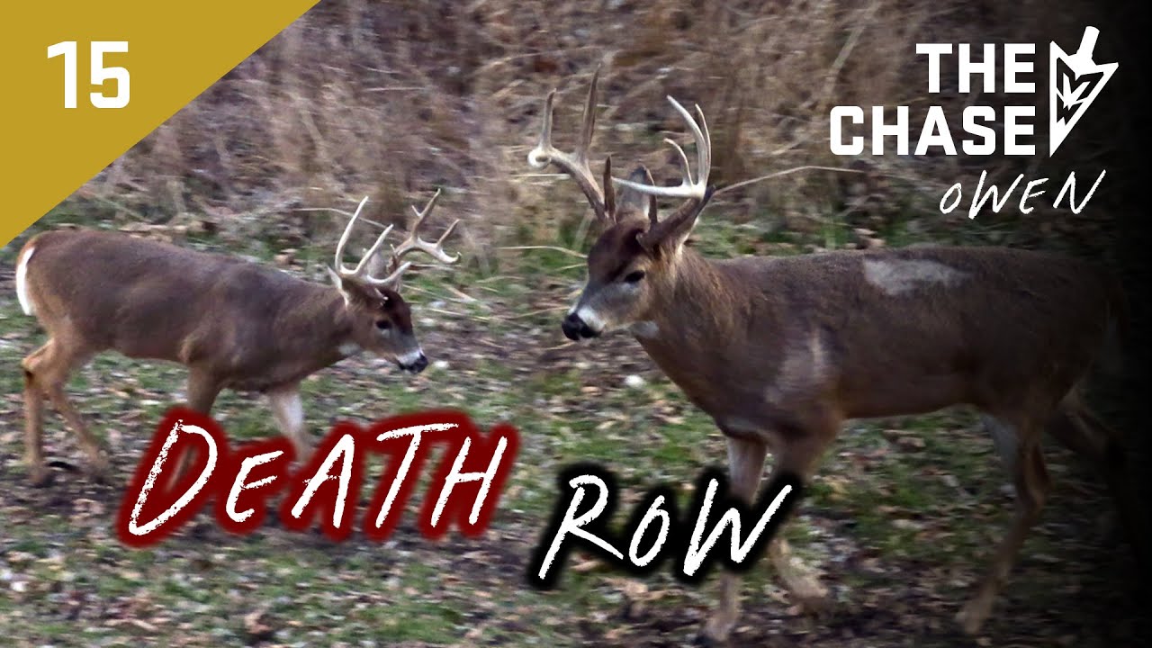 owen-s-best-late-season-bow-hunt-ever-two-5-year-old-studs-in-bow