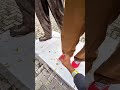 ini kaki patung vs kaki kucing #shorts #funny #comedy #trending #cat