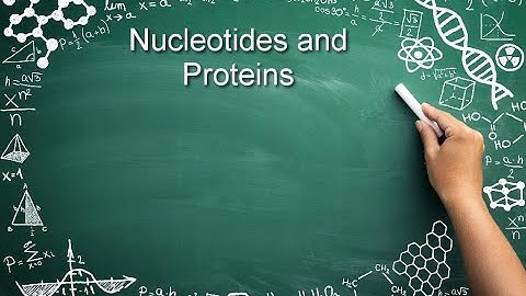 Is a specific sequence of nucleotides that codes for a protein or an RNA molecule?