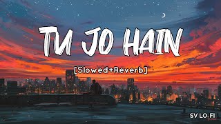 Tu Jo Hain [Slowed Reverb] Ankit Tiwari | Roy | SV Lofi