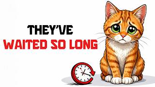 Your Cat Has Been Asking for This in Silence