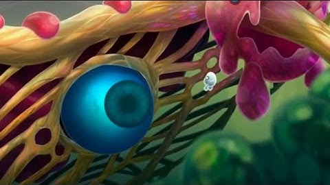 Ethereal Workshop Trailer Recreated in MSM Composer!