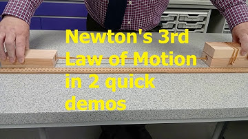 Newton