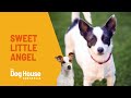 Little Girl Angel | The Dog House Australia | Channel 10