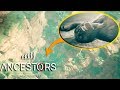 ПРИКОЛ Разработчиков Укрытие ЛОВУШКА Ancestors The Humankind Odyssey #17