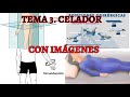 TEMA 3 CELADOR. Con imágenes y ejemplos. Posiciones anatómicas, cambios posturales, eje y plano