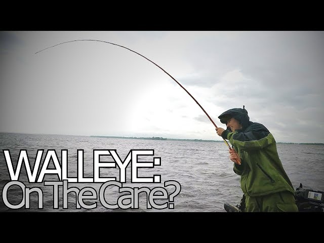 cane pole fishing for walleye Big Walleye on a Cane Pole?!