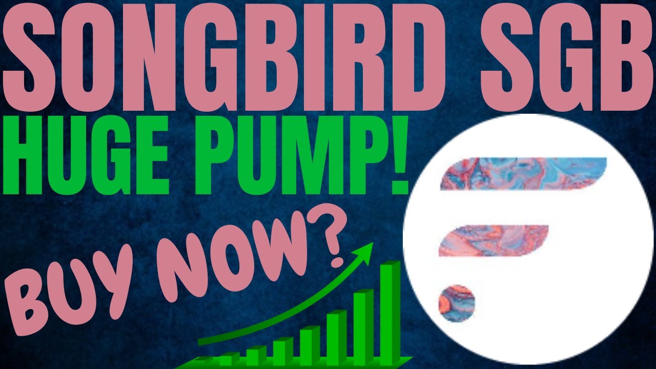 songbird crypto live price