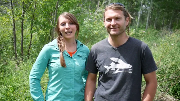 Live-Trapping Beavers with the Methow Beaver Project