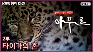 [KBS 명작다큐] 동아시아 생명대탐사 '아무르 2부  타이가의 혼' (KBS 110407 방송)