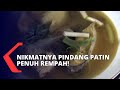 Icip-icip Pindang Ikan Patin, Makin Nikmat Pakai Nasi Hangat!