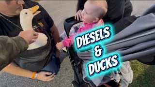 603 diesels event here in Epping New Hampshire was great! 