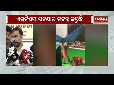 BJP Reacts to CBI Investigation into Orangutan Case, Says Govt Making Best Efforts to Solve Matter
