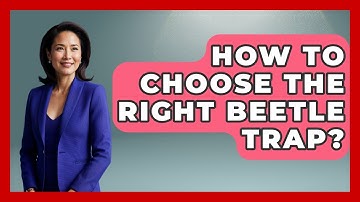 How To Choose The Right Beetle Trap? - Insects and Invaders