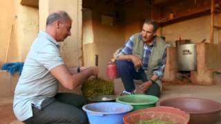 1001 Teppich: Echte Perser, falsche Perser - gute Geschäfte 1001 Teppich: Echte Perser, falsche Perser - gute Geschäfte
