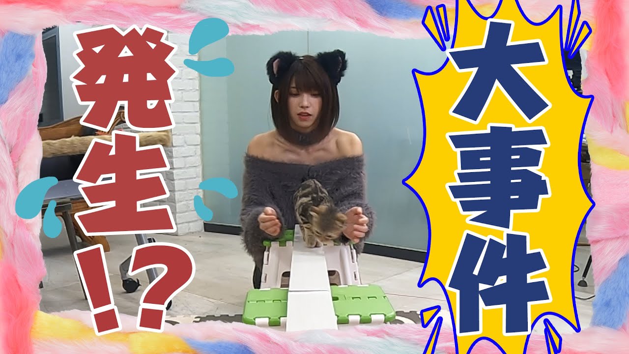 【猫様が暴走！平均台チャレンジ】えなこ×さらば森田の猫しか勝たん（#5）