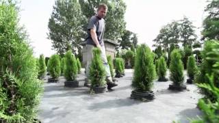 Resultaten Programma Teelt De Grond Uit