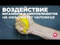 Воздействие витаминов и микроэлементов на иммунитет человека