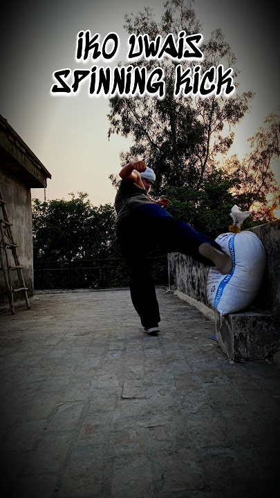 Iko Uwais Spinning Kick l🥋l #ikouwais #wushufight #india #martialarts #mma #muaythai #shorts #usa